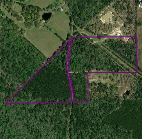 Vacant Land (10+ Acres) in Thicket - Thicket, Texas, 77374