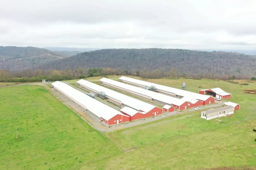 Rung Breeder Farm – Four House Farm in Marshall County, Alabama