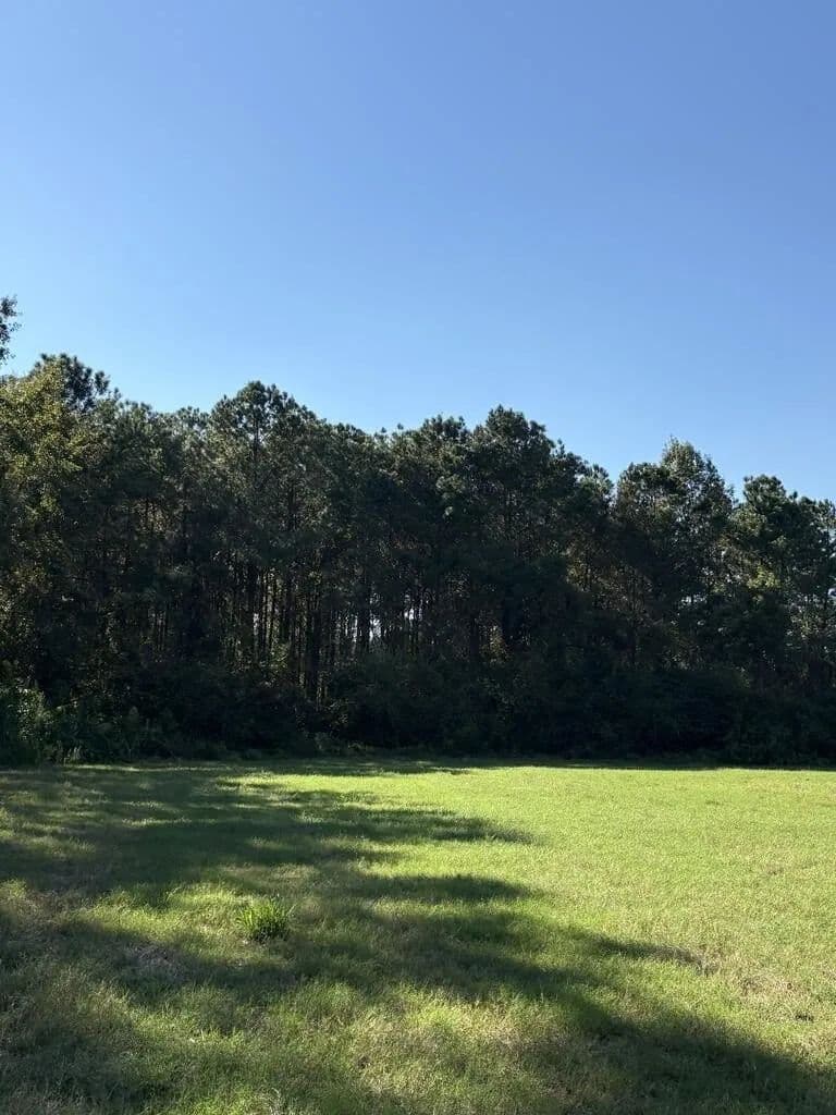 Lots & Land-Other in Whigham - Whigham, Georgia, 39897