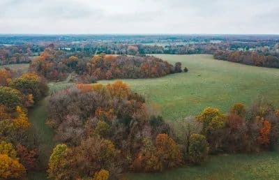 Callaway Dream Land 82