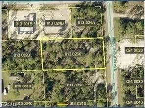 Lots & Land-Other in Alva - Alva, Florida, 33920