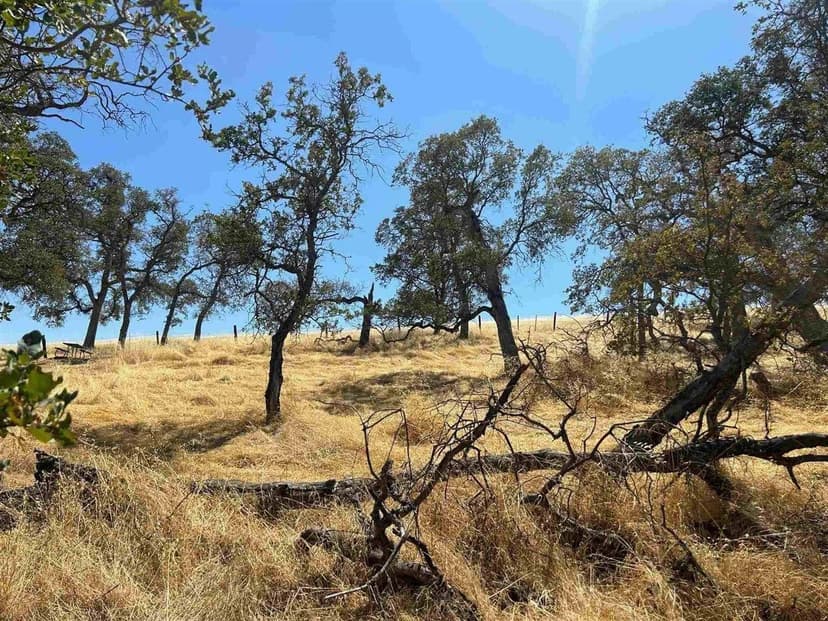 Lots & Land-Other in Copperopolis