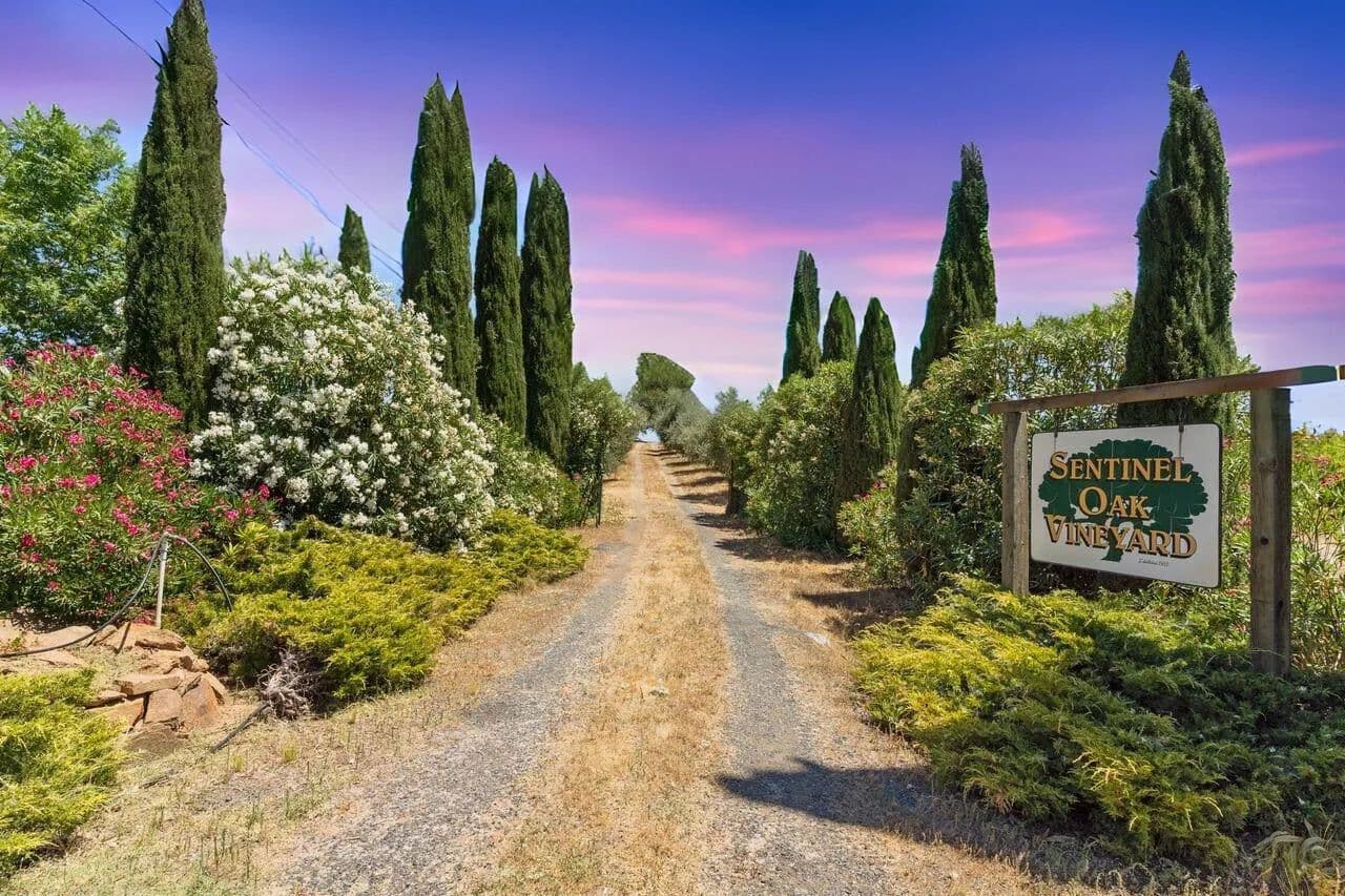 Vacant Land in Plymouth - Plymouth, California, 95669