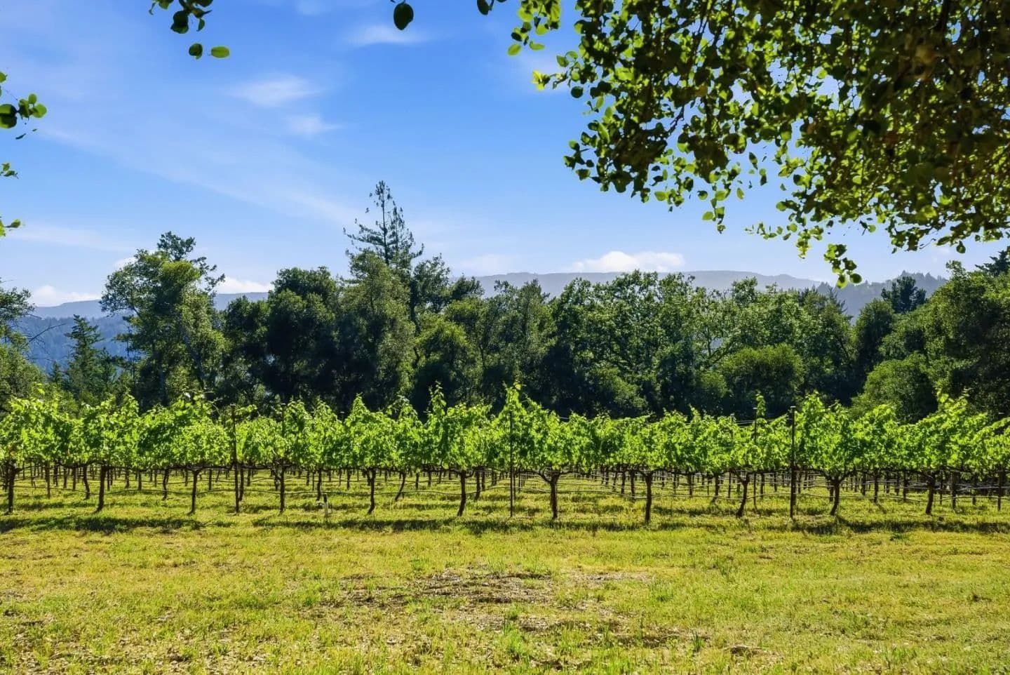 Property from 0 Miller Hill Road - KW - Los Gatos, California, 95033