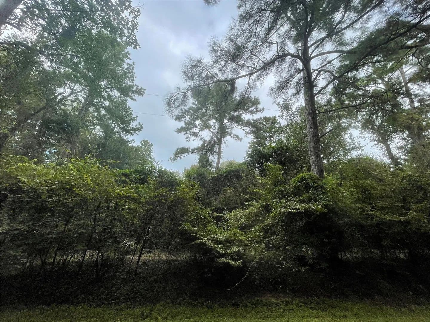 Vacant Land in Magnolia - Magnolia, Texas, 77354