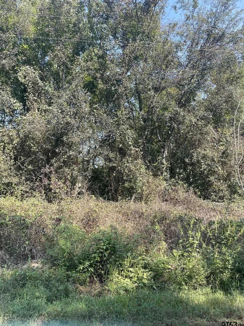 Lots & Land-Other in Leesburg - Leesburg, Texas, 75451
