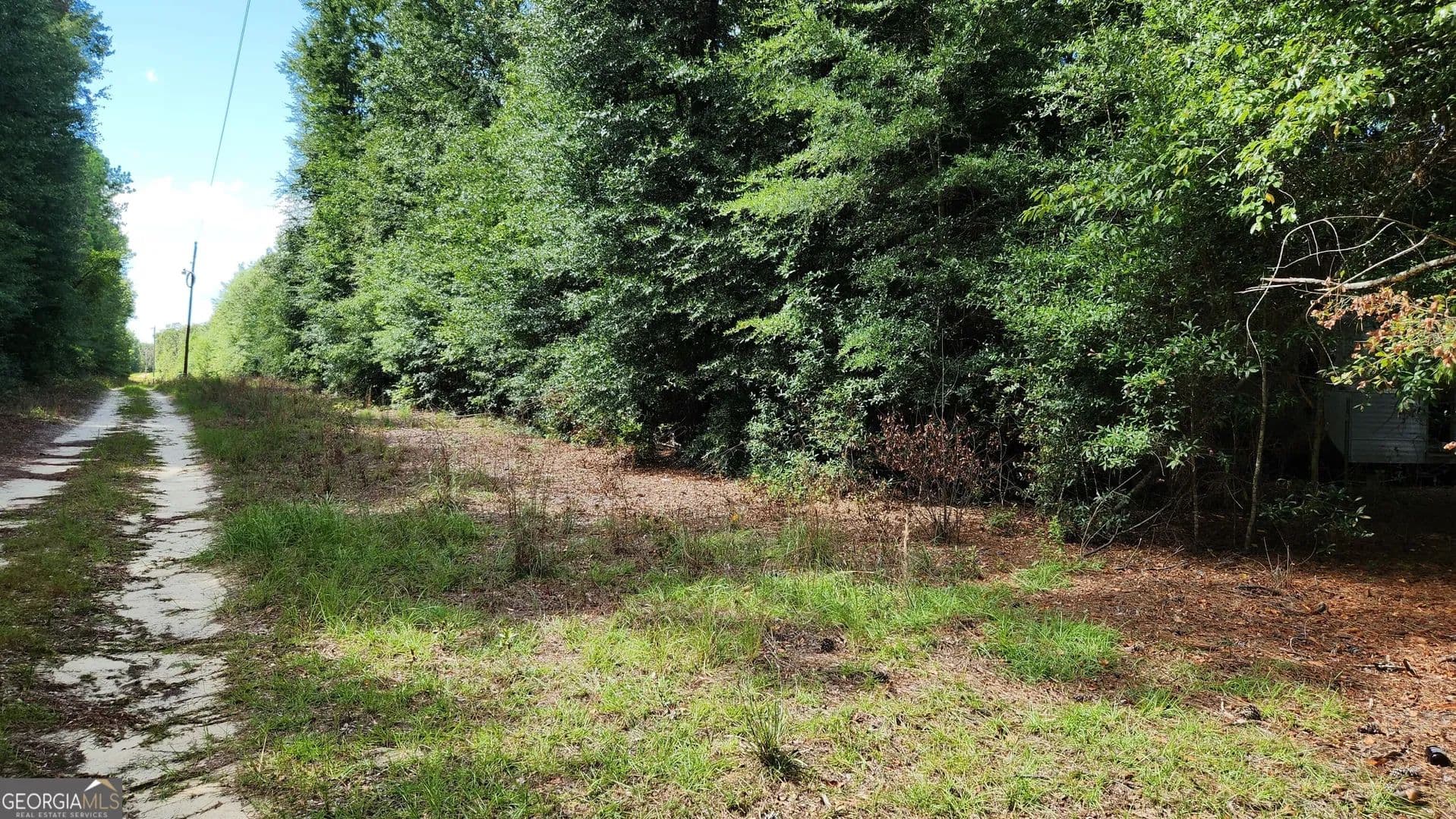 Vacant Land in Waynesboro - Waynesboro, Georgia, 30830