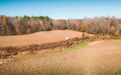 Golden Spur Road Farm