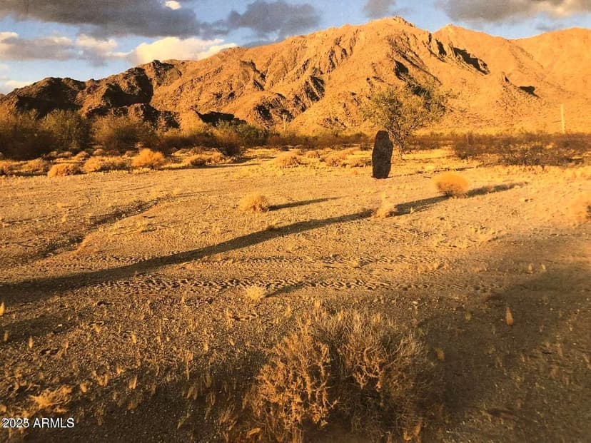 Vacant Land in Goodyear