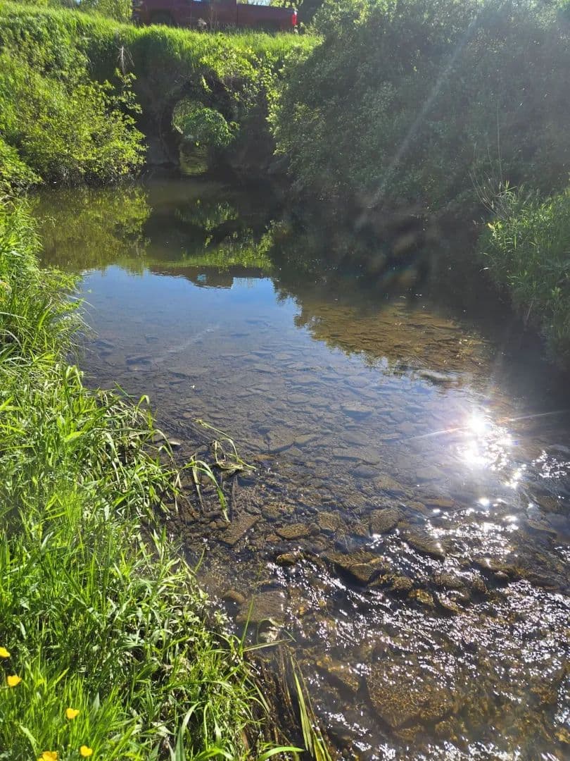 53 acres Woods with Open Field and Creek in Warsaw NY Hermitage Rd - Warsaw, New York, 14569