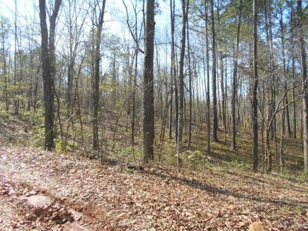Vacant Land in Dallas - Dallas, Georgia, 30141