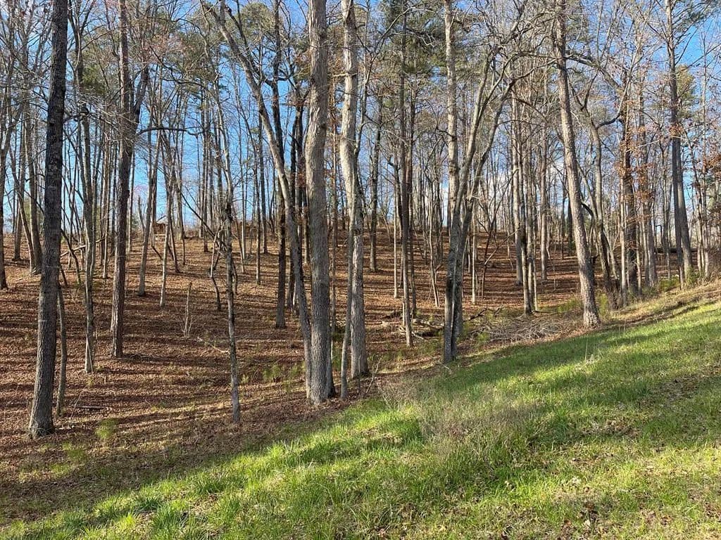 Lots & Land-Other in Ellijay - Ellijay, Georgia, 30540