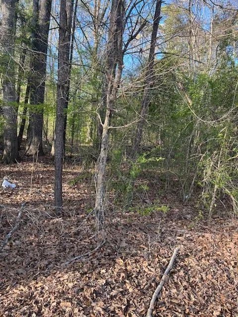 Lots & Land-Other in Vicksburg - Vicksburg, Mississippi, 39180