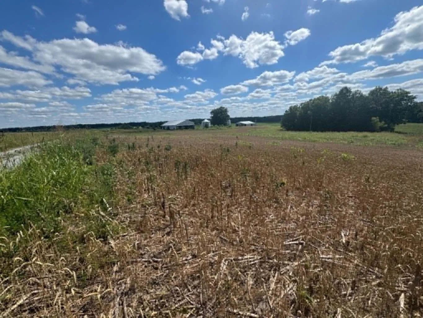 Land -Agricultural (Not Zoned) in Columbia - Columbia, Kentucky, 42728