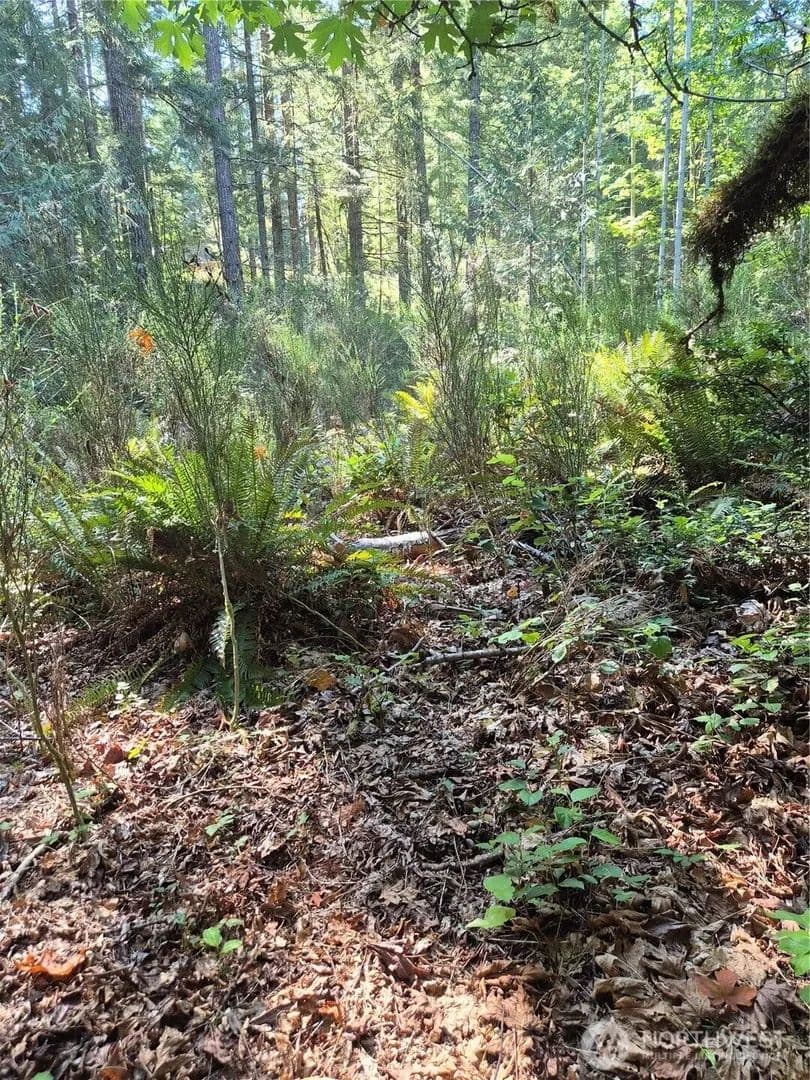 Lots & Land-Other in Bremerton - Bremerton, Washington, 98312