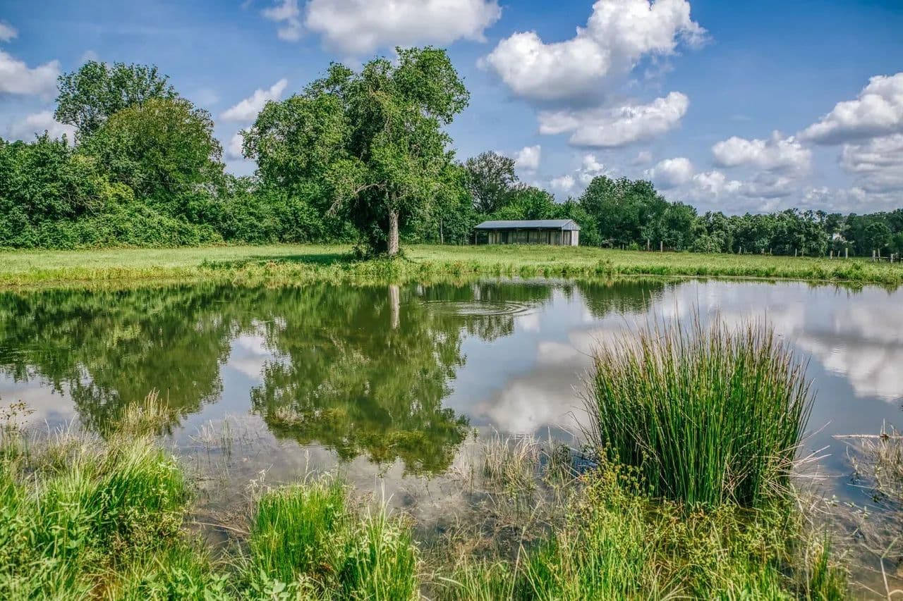 Mock Lane - Montgomery, Texas, 77356
