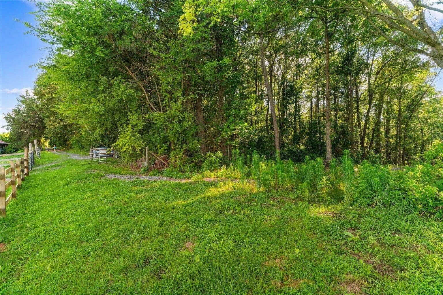 7.74 Acres of Land for Sale in Old Fort, TN - Old Fort, Tennessee, 37362