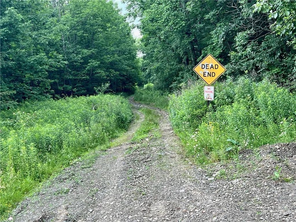 32.81 Acres of Land for Sale in Maryland, NY - Maryland, New York, 12116