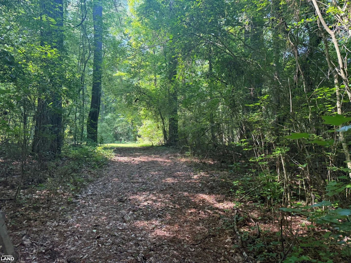 12 Mulberry Fork Off Water Lots - Sipsey, Alabama, 35584