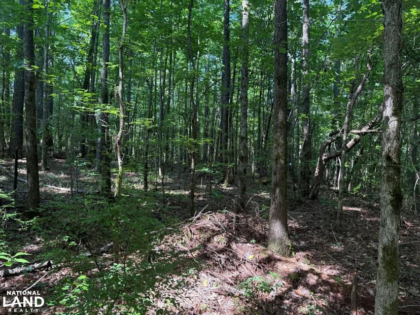 12 Mulberry Fork Off Water Lots