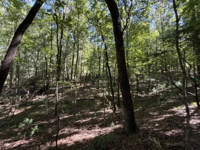 Lots & Land-Other in Ellijay - Ellijay, Georgia, 30540