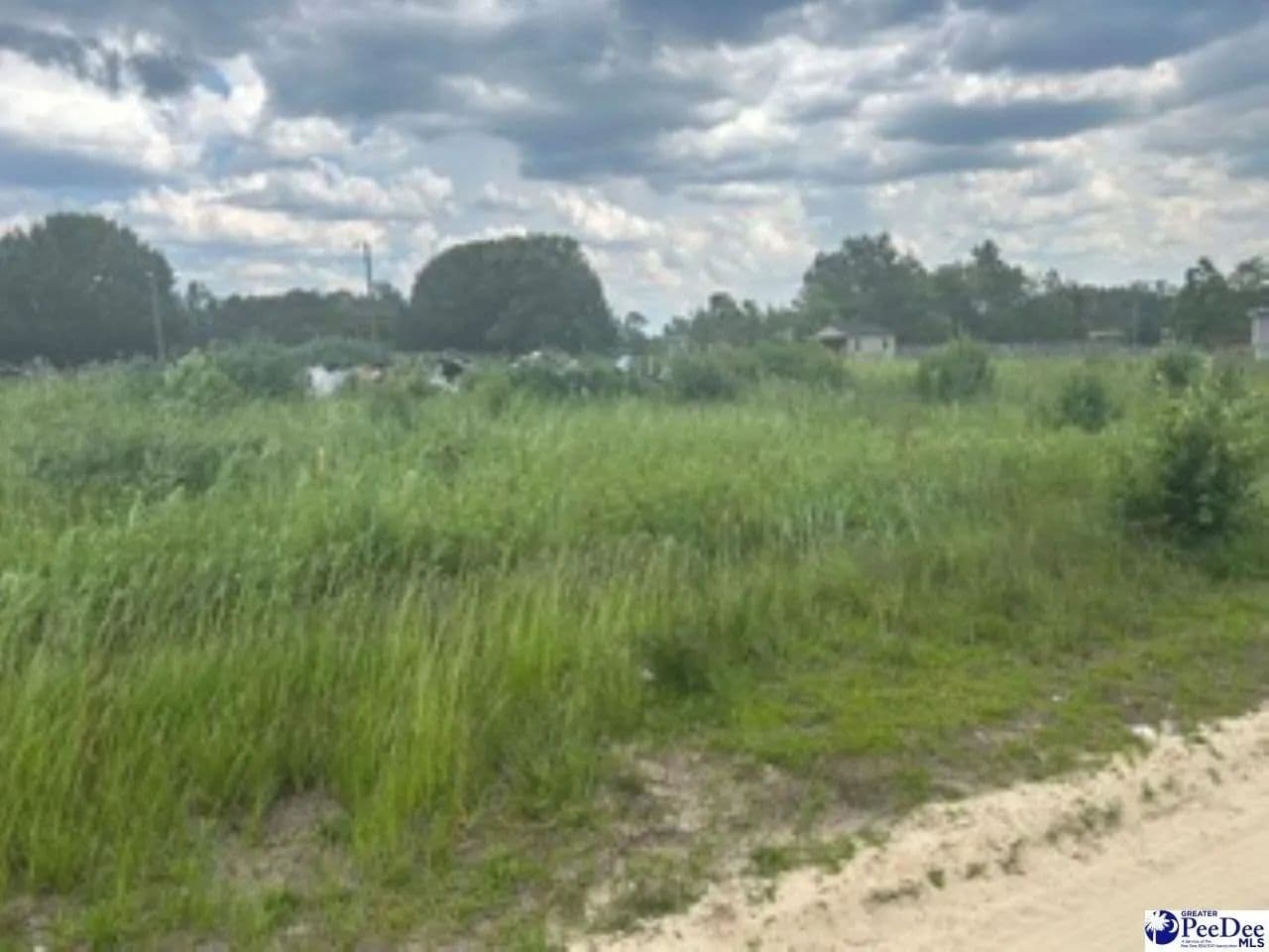 Lots & Land-Other in Hamer - Hamer, South Carolina, 29547