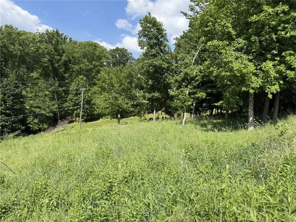 Property from Lots 206 and 208 Old Woods Drive - KW - , Pennsylvania, 15317
