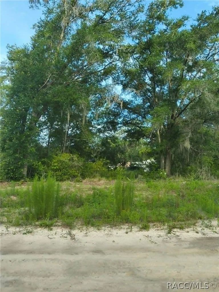 Lots & Land-Other in Inverness - Inverness, Florida, 34453