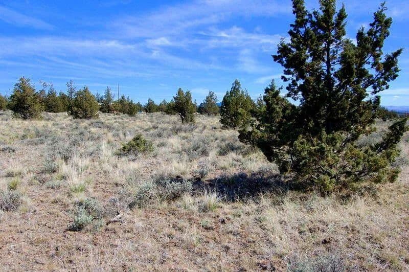 Vacant Land in Prineville