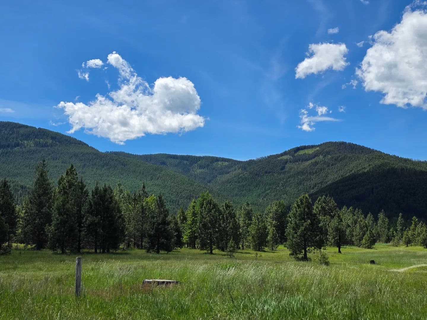 Lots & Land-Other in Trout Creek - Trout Creek, Montana, 59874