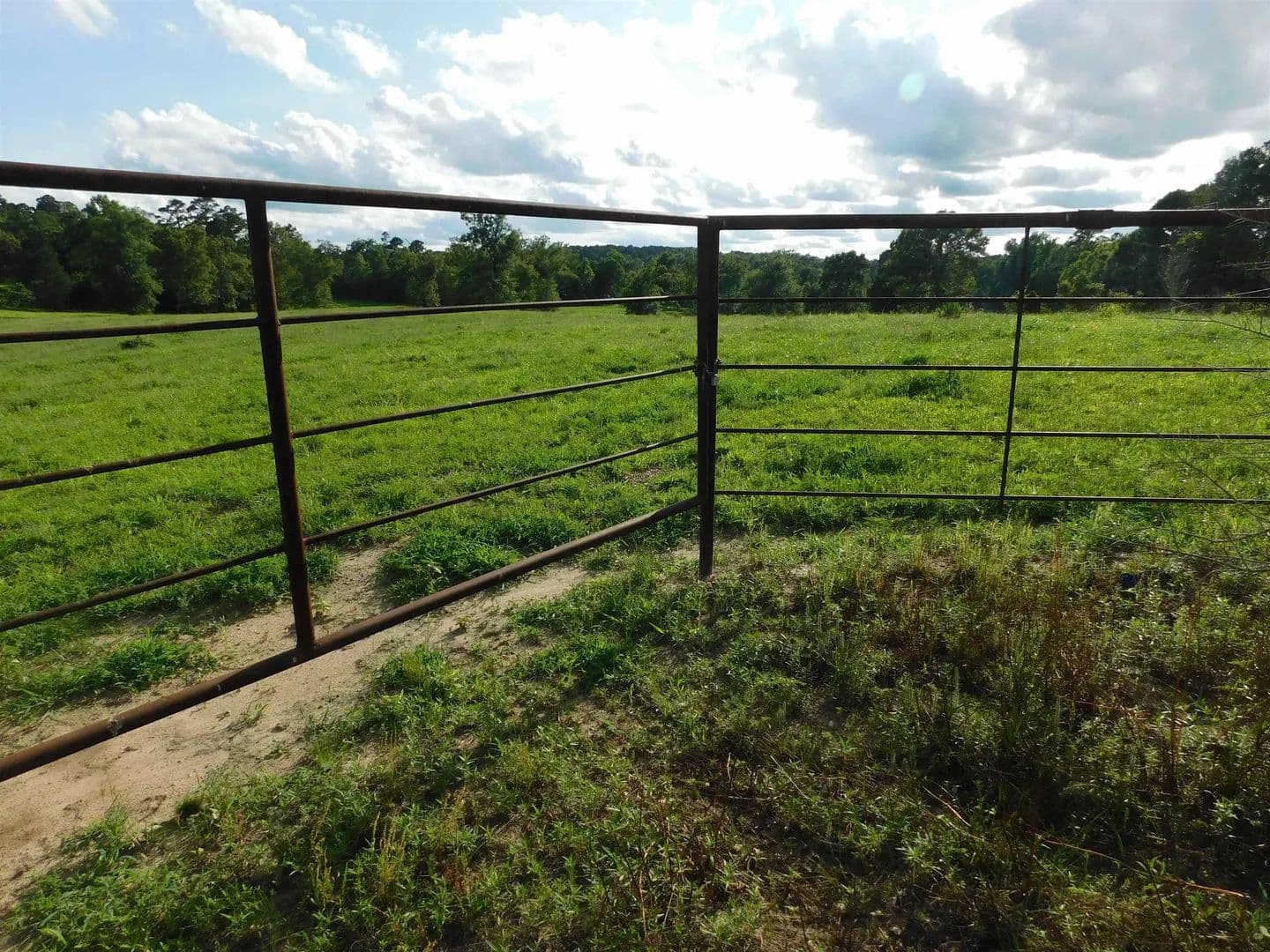 Vacant Land in Big Sandy - Big Sandy, Texas, 75647