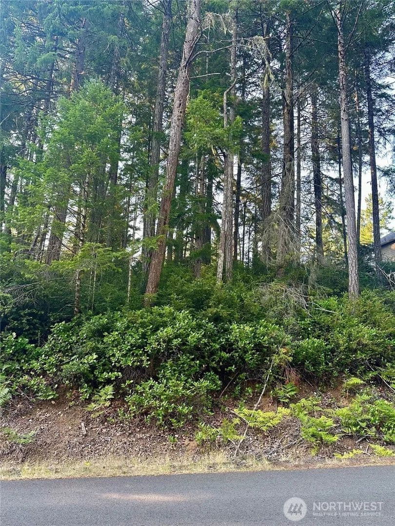 Vacant Land in Union - Union, Washington, 98592