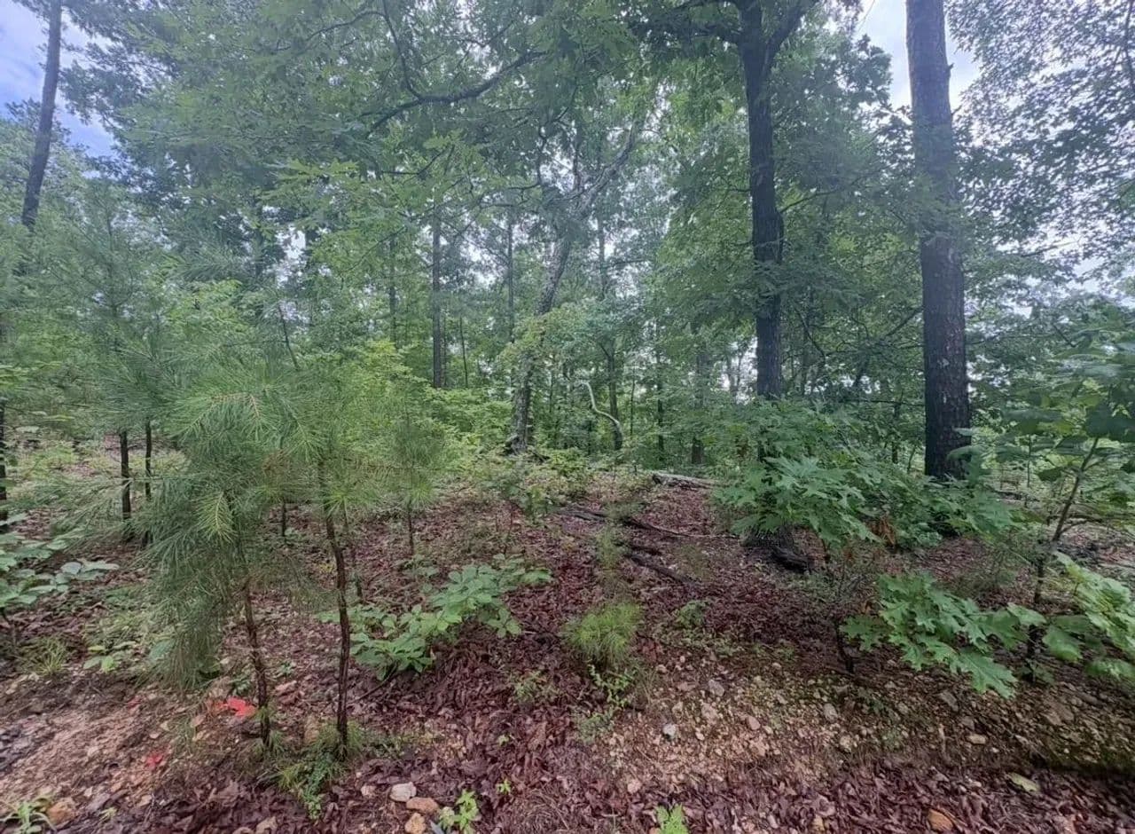 80±AC of Premier Hunting Ground in Reynolds Co. - Redford, Missouri, 63665