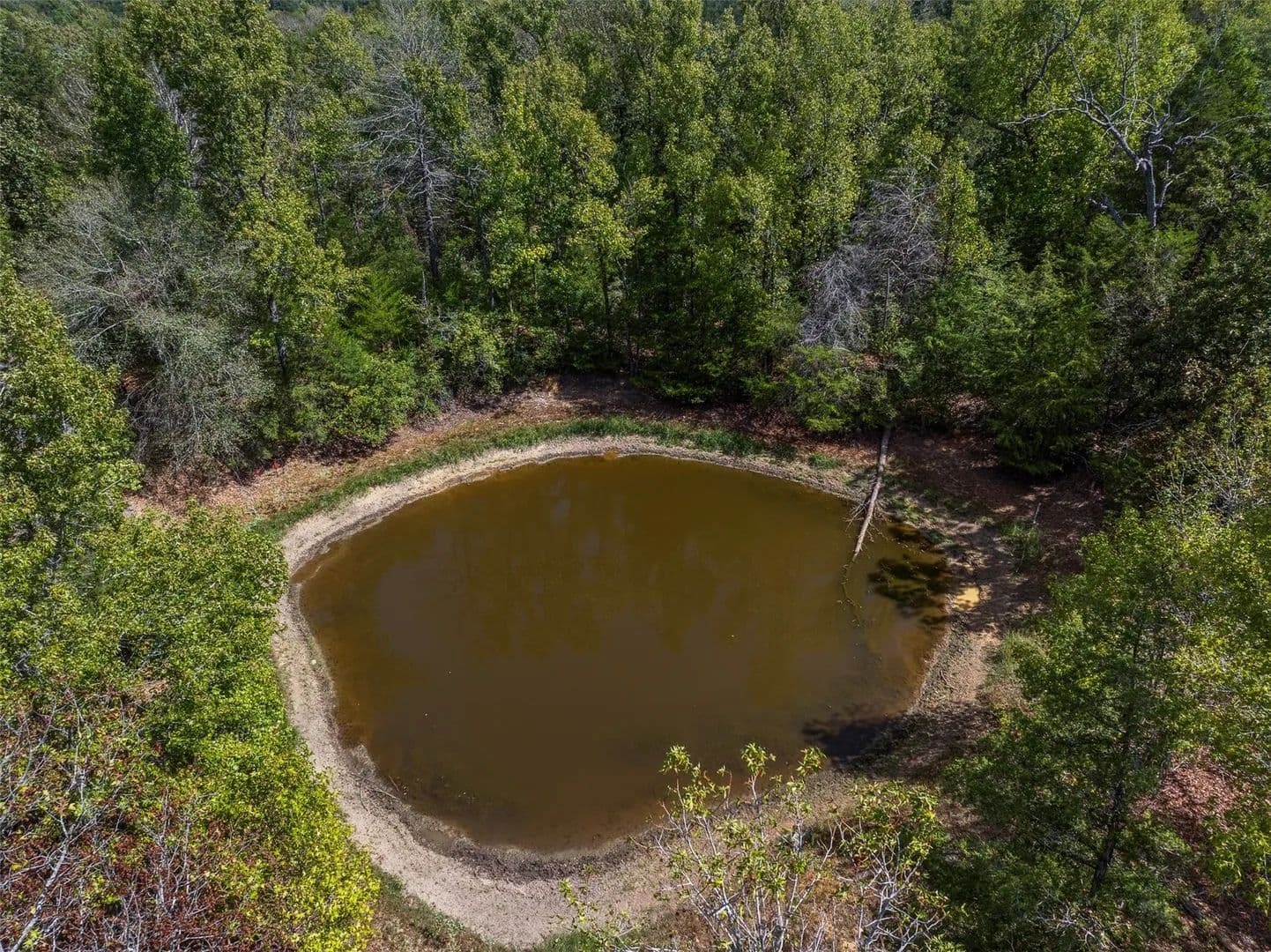 13.3 Acres of Land for Sale in Oakwood, TX - Oakwood, Texas, 75855