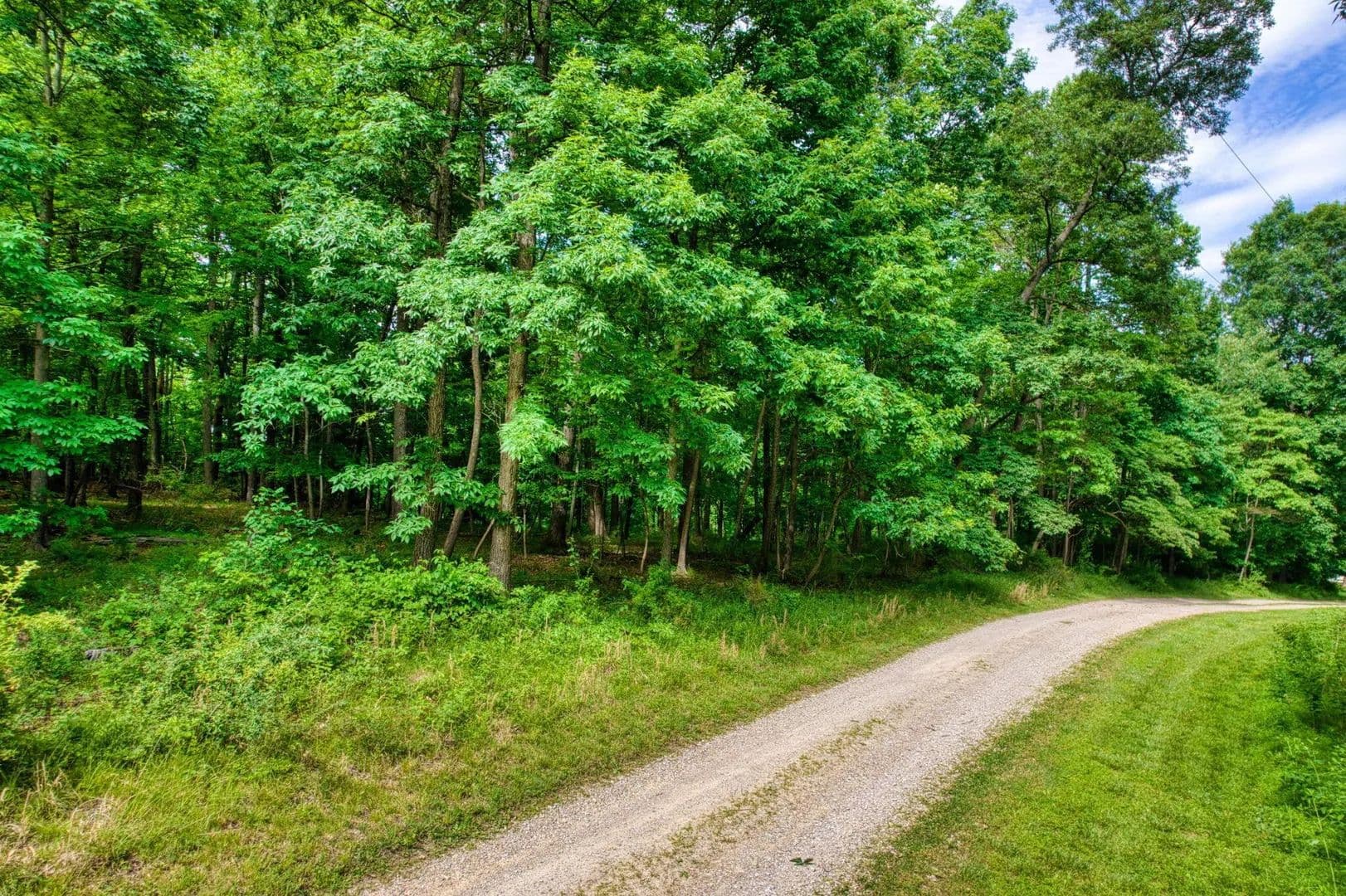 Vacant Land in Newark - Newark, Ohio, 43055