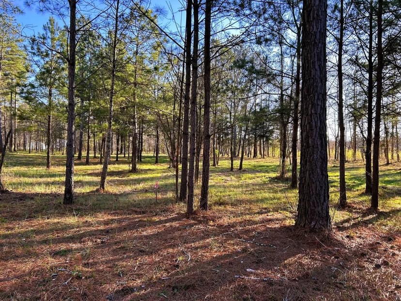 Property from Lot 4 County Road 950 - KW