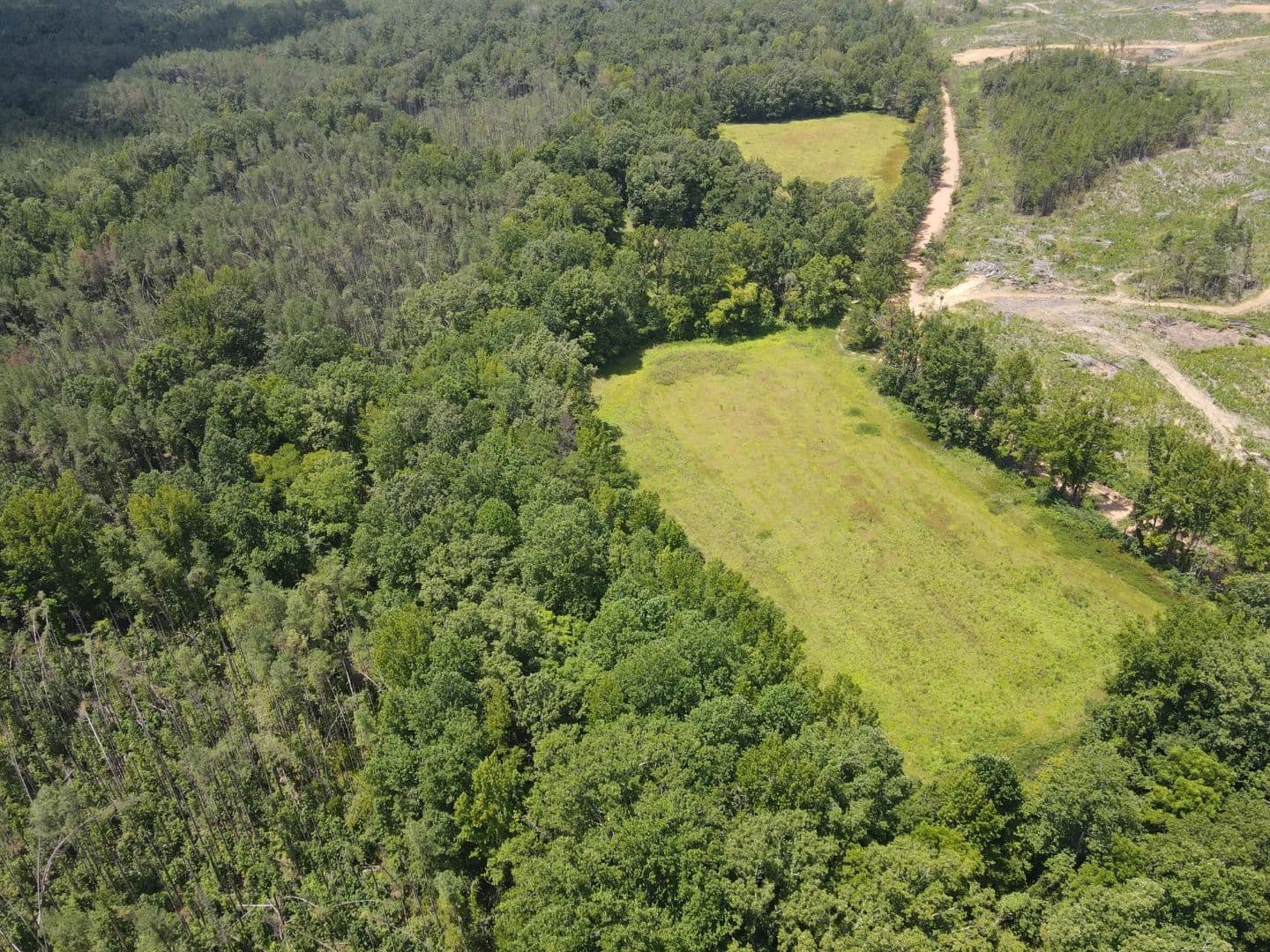 78 Acres in Lafayette County, MS  - Paris, Mississippi, 38949