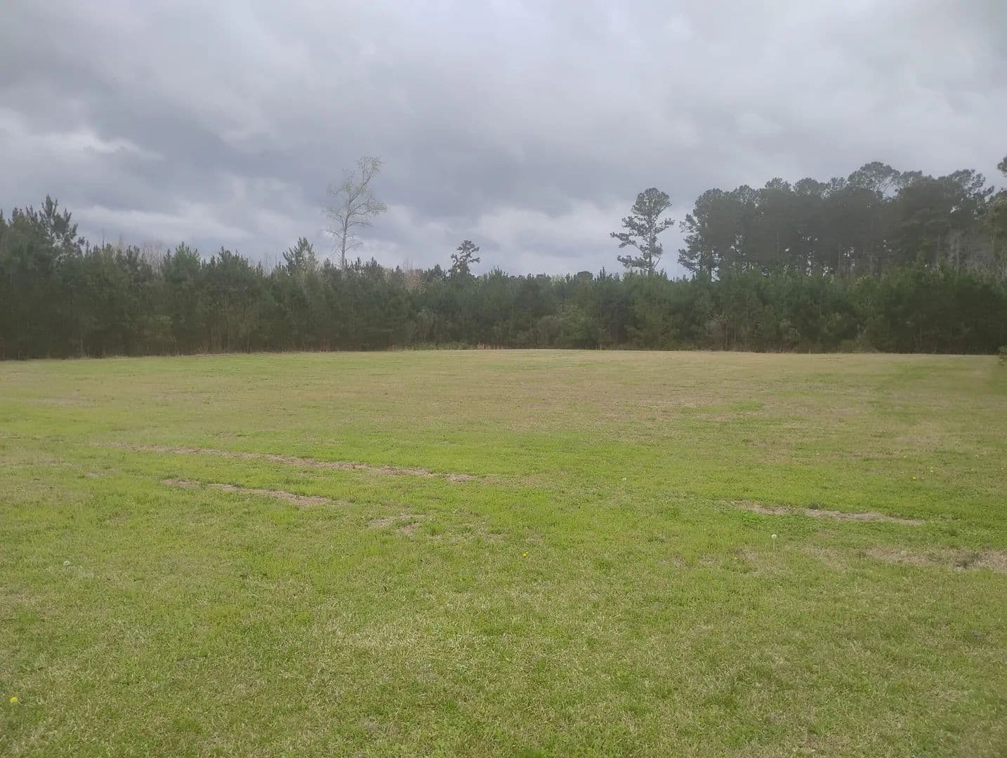 Vacant Land in Saint George - Saint George, South Carolina, 29477
