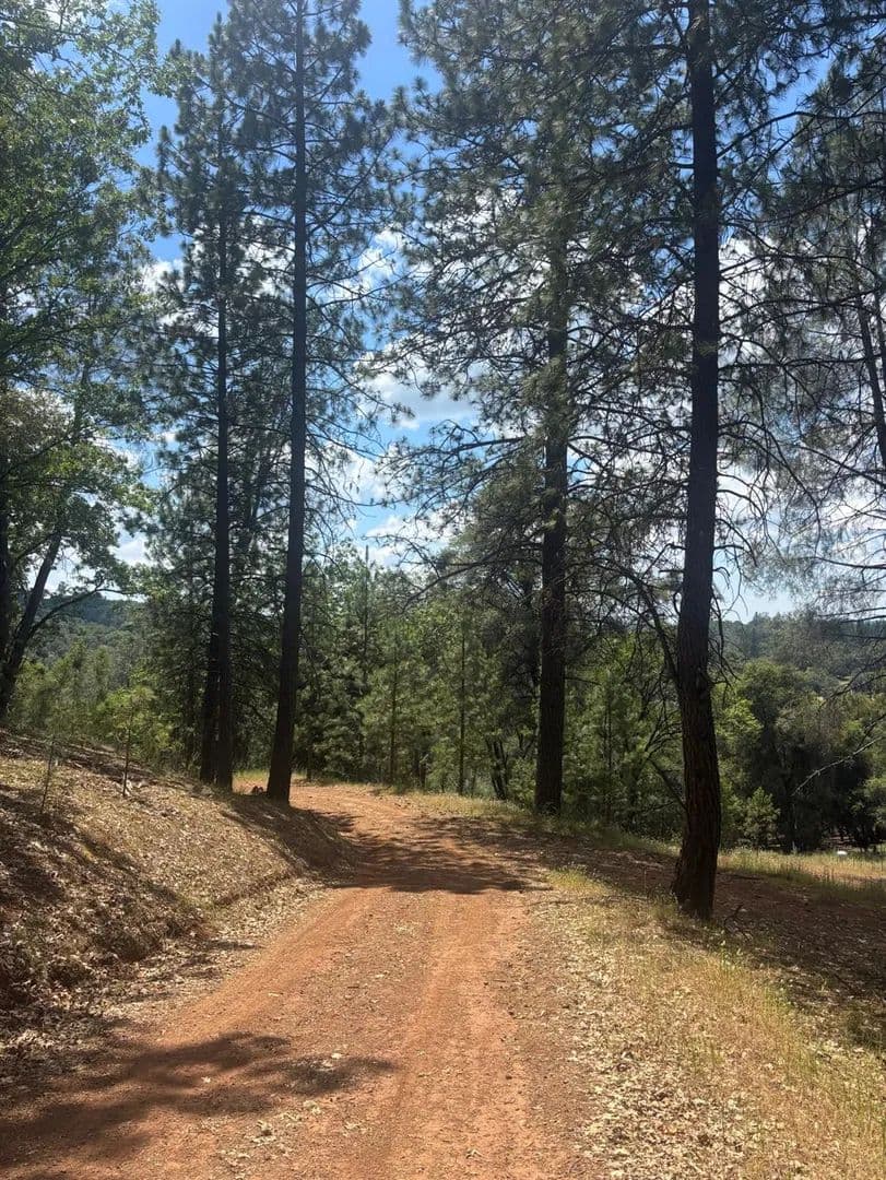 Property from 21109 Adamson Drive - KW - Grass Valley, California, 95949