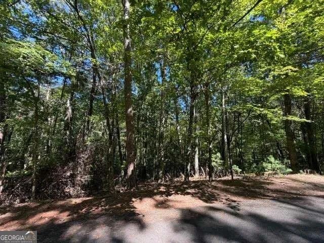 Lots & Land-Other in Ellijay - Ellijay, Georgia, 30540