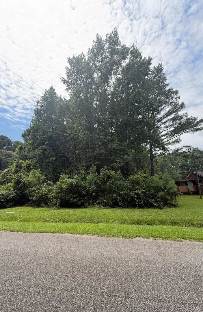 Vacant Land in Awendaw - Awendaw, South Carolina, 29429