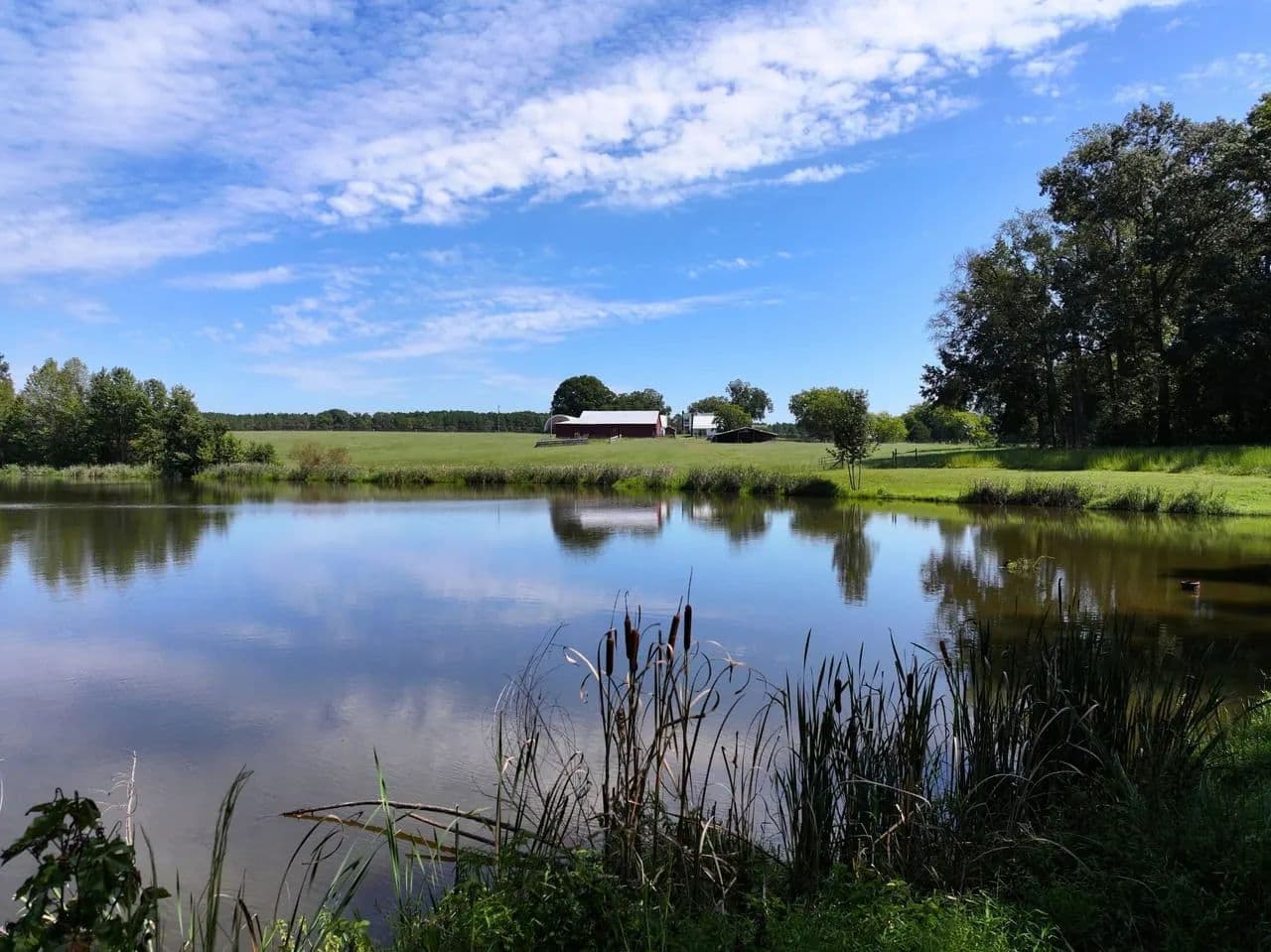 Farm of Dreams: Farmhouse on 326+/- Acres of Forest, Pasture, Ponds, and Possibility near LKG - Brodnax, Virginia, 23920