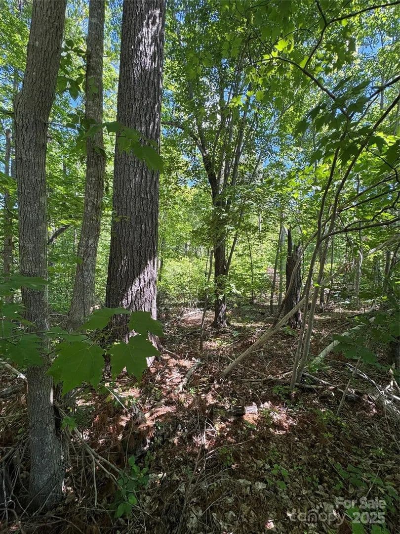 Lots & Land-Other in Morganton