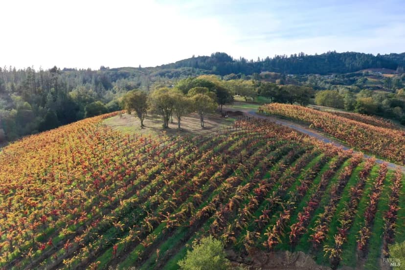 Vacant Land in Healdsburg
