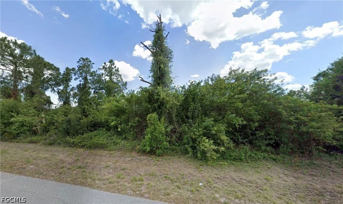 Vacant Land in Lehigh Acres - Lehigh Acres, Florida, 33974