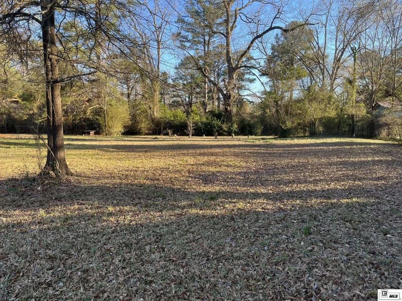 Lots & Land-Other in Bastrop
