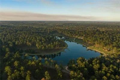 Bishop Hill Plantation