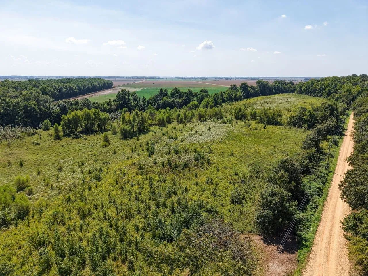 20±AC of Endless Possibilities For Sale in Bloomfield, MO - Bloomfield, Missouri, 63825