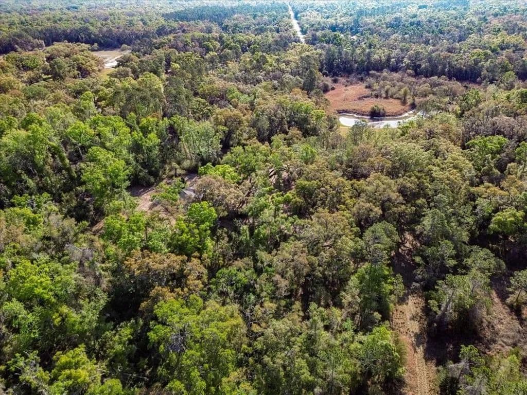 Vacant Land in Old Town - Old Town, Florida, 32680