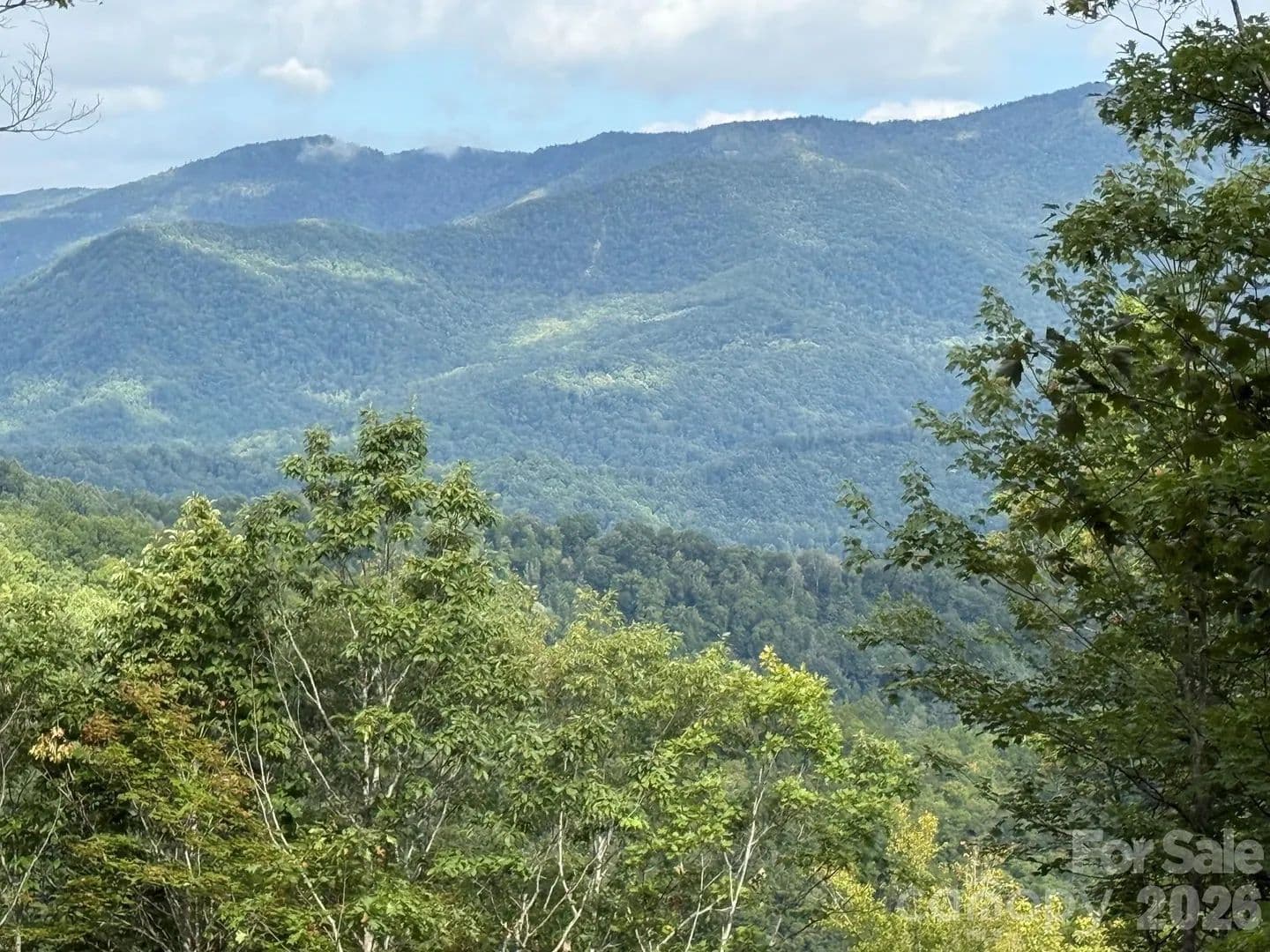 Property from LT 262 Tote Road #262 - KW - Sylva, North Carolina, 28779